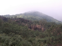nte Cagliato-20111114 023